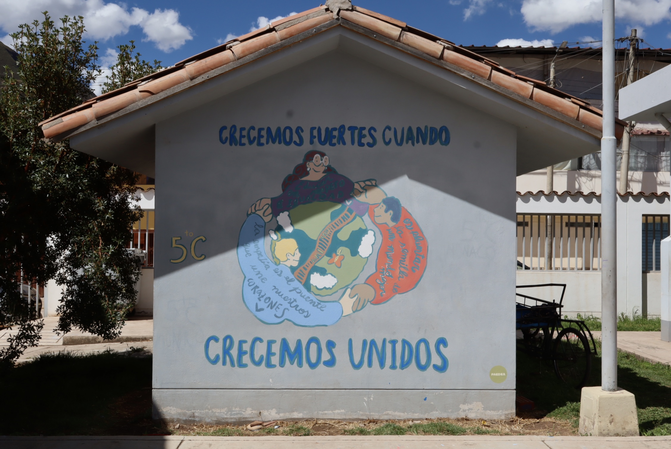 Proyecto Puente Vivo